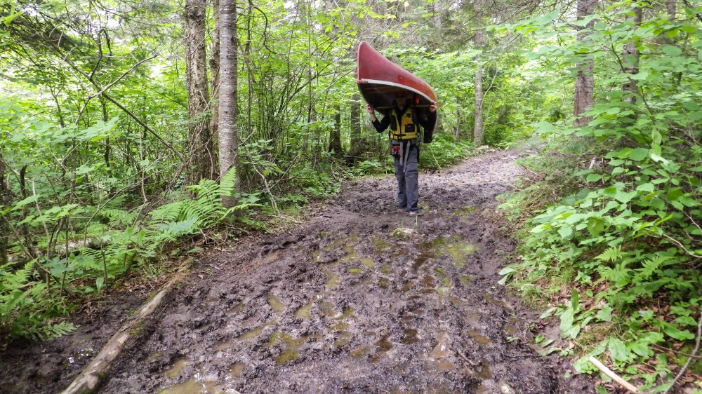Quetico July 2014 (13 of 18)