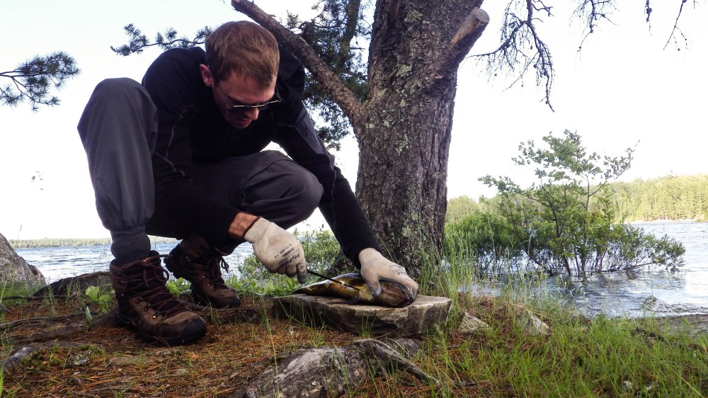 Quetico July 2014 (14 of 18)