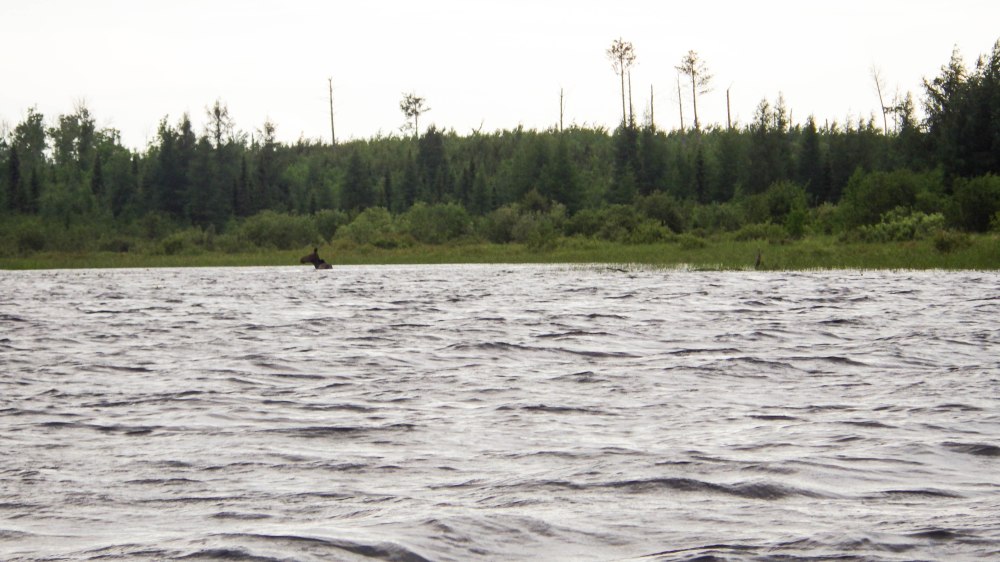 Quetico July 2014 (2 of 18)
