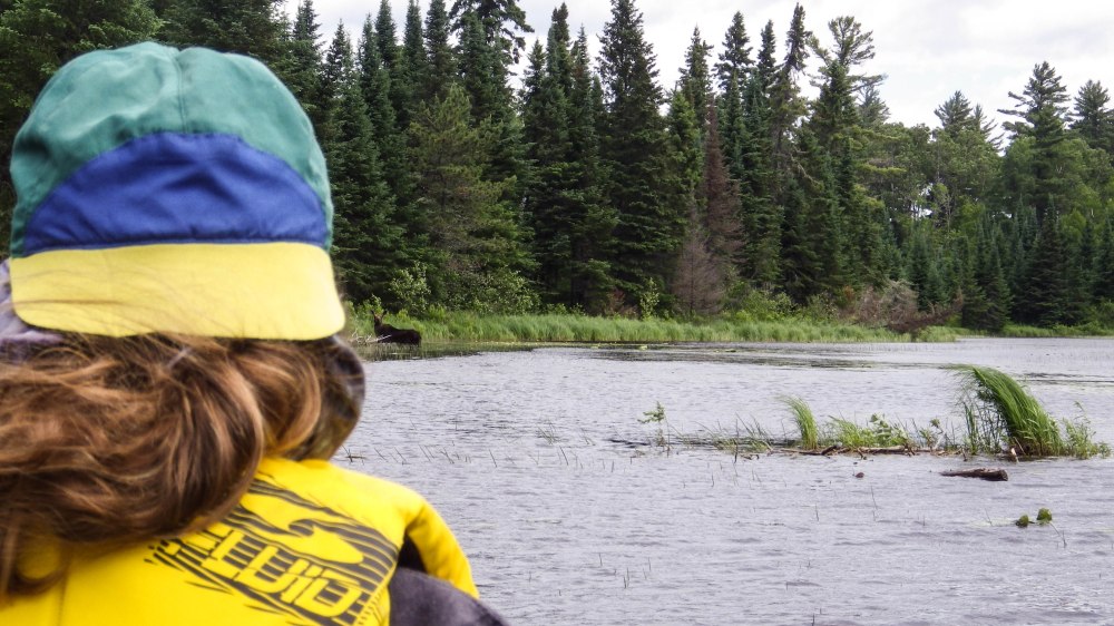 Quetico July 2014 (7 of 18)