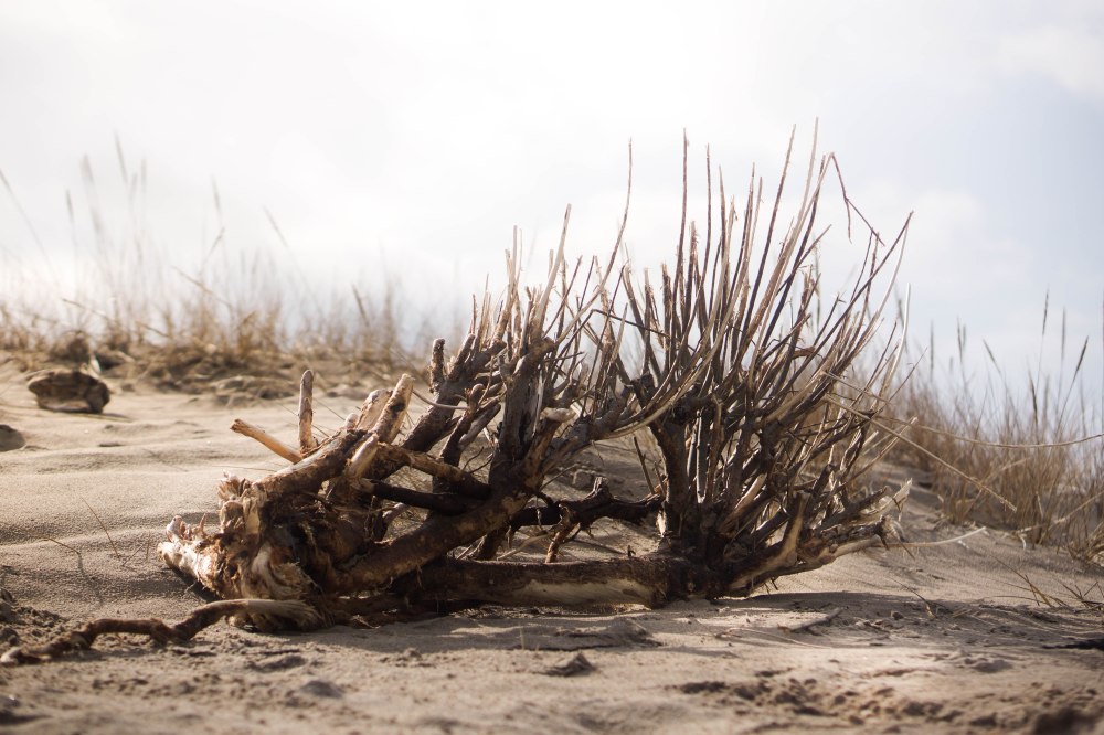 Photoboard foam (8 of 8)