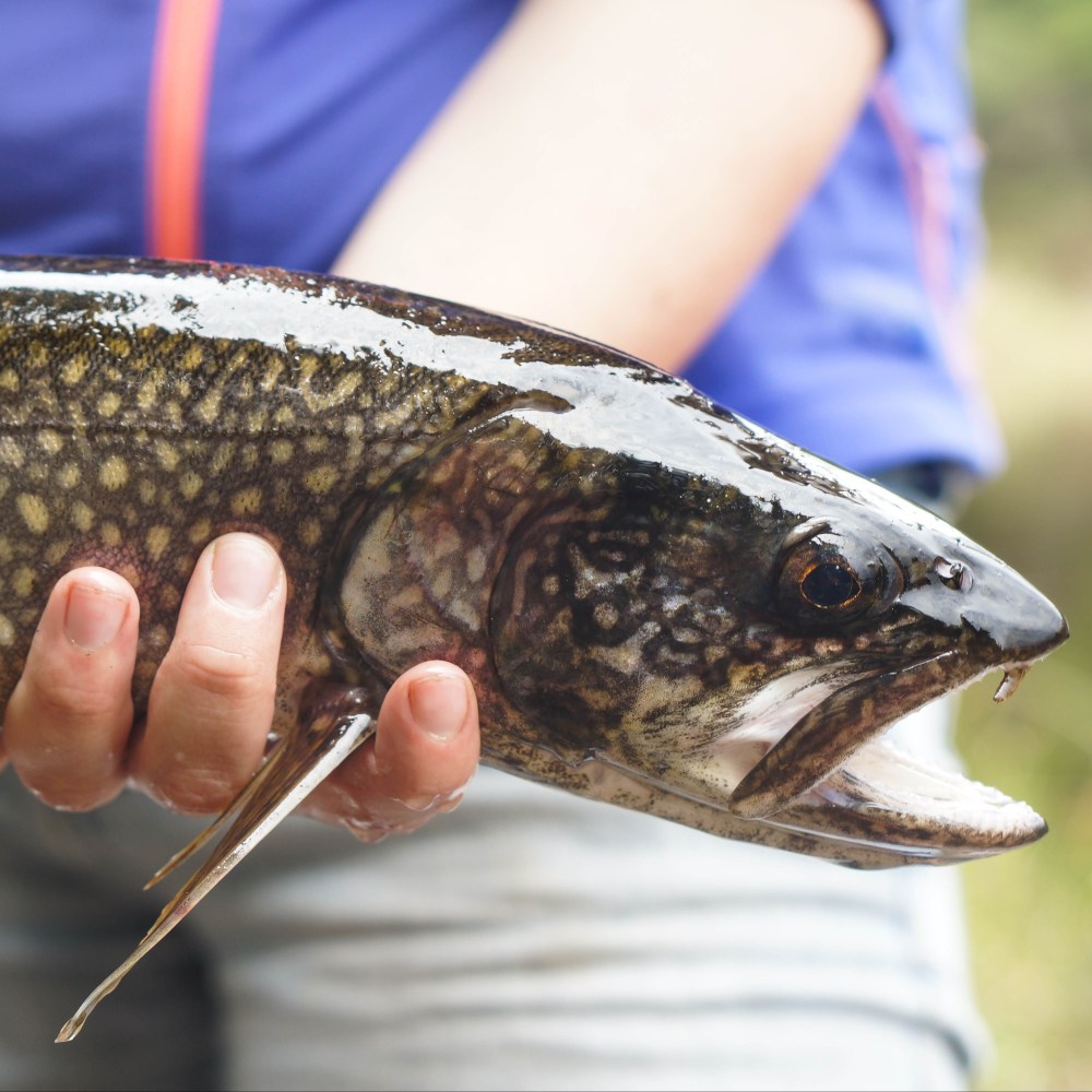 Quetico May 2016 (17 of 20)
