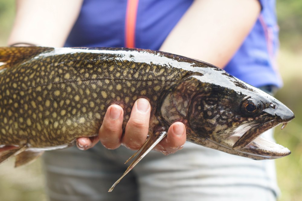 Quetico May 2016 (17 of 20)