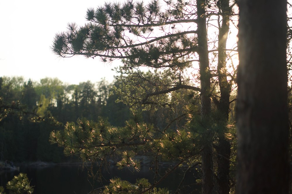 Quetico May 2016 (3 of 20)