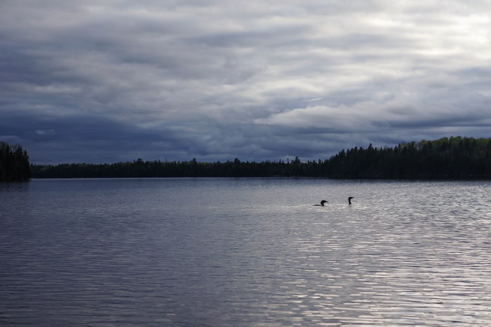 Print for Debbie (30 of 122)