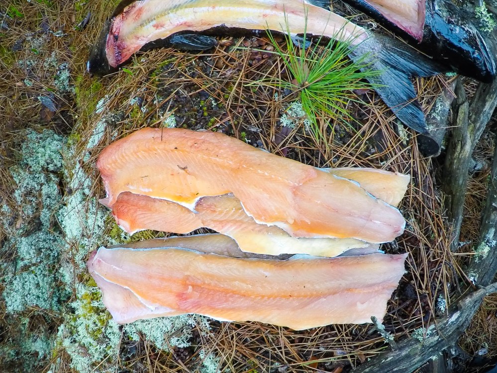 DCIM100GOPROGOPR0754.